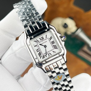 Cartier Panter Gümüs Kasa 22 mm